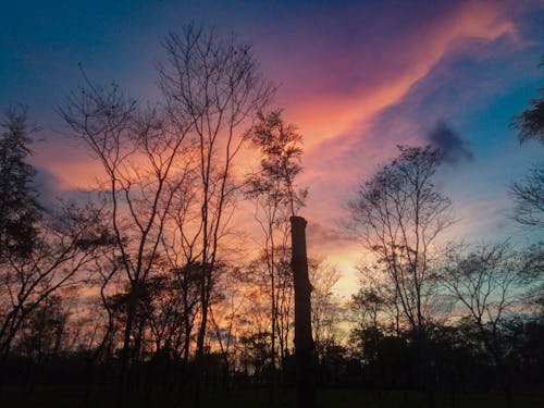 Základová fotografie zdarma na téma @ venku, fotografie, krása přírody