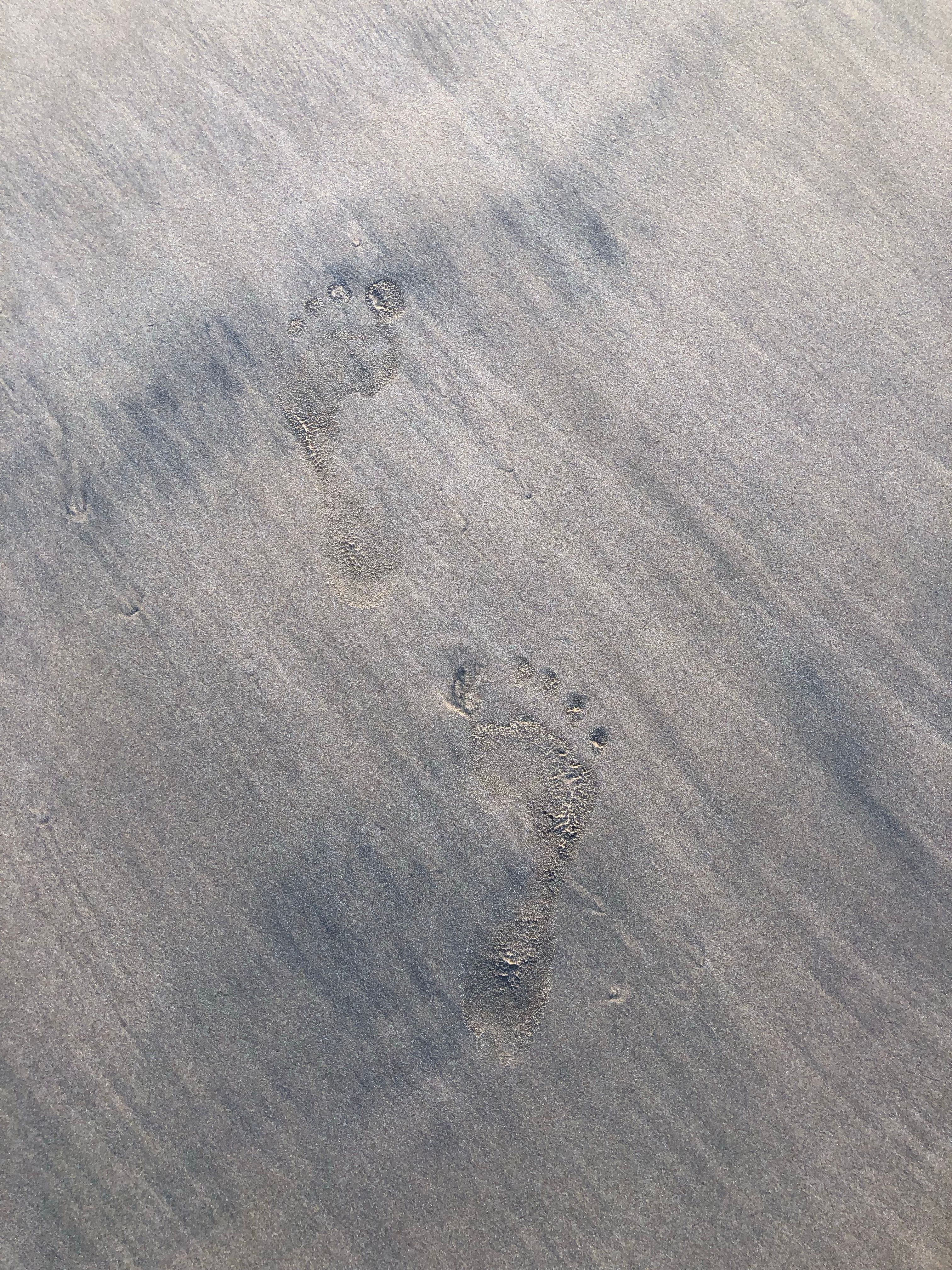 Close up of Footprint on Sand · Free Stock Photo