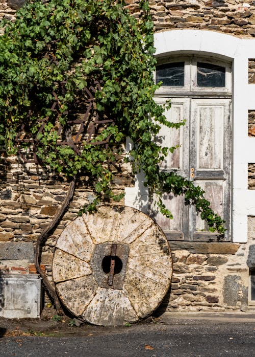 Ivy and Wheel by Building Wall