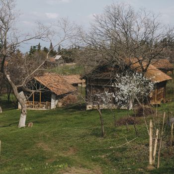 The Twins Village of Kodinhi
