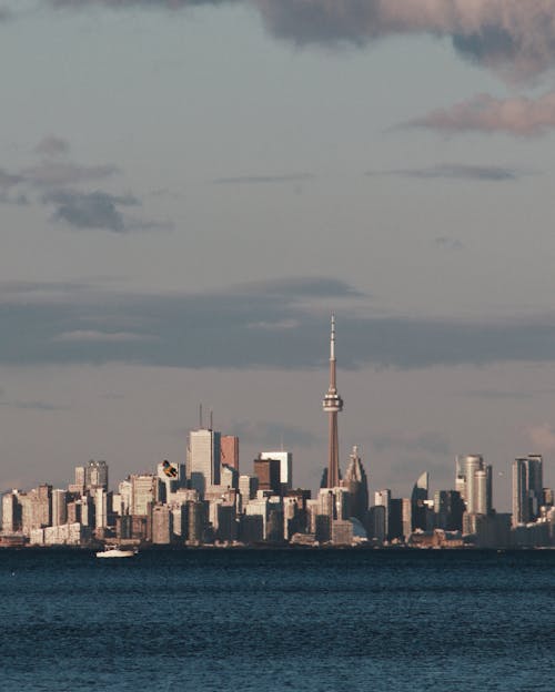 CN 타워, 도시, 도시 풍경의 무료 스톡 사진