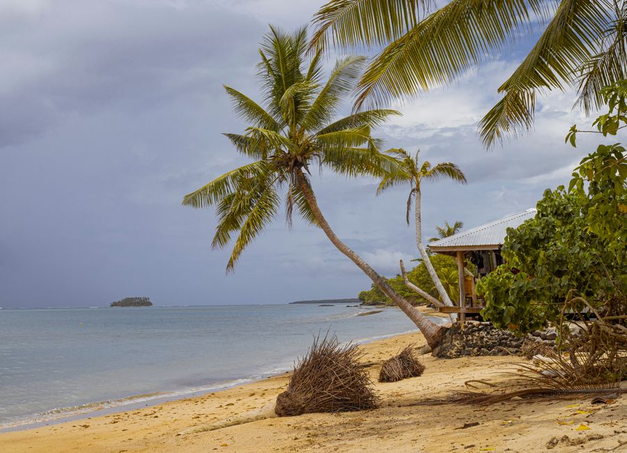Relaxing tropical beach scene in Apia, Samoa with palm trees and blue ocean waters.