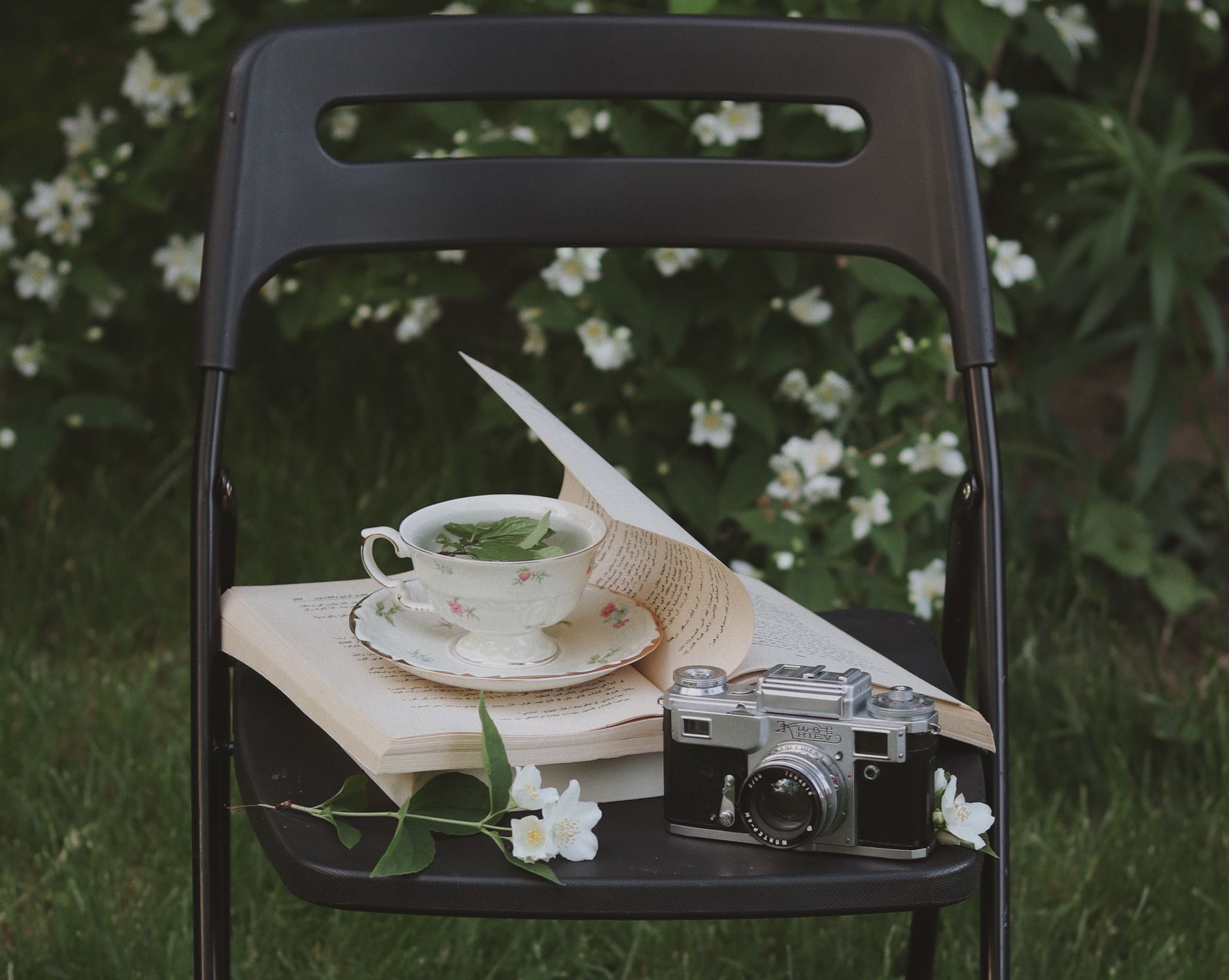 A Cup of Tea, a Book and Camera on a Chair in the Garden · Free Stock Photo
