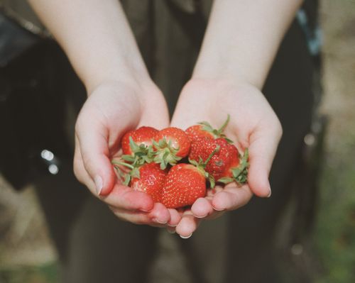 Free Close-up of hands holding fresh strawberries, symbolizing summer freshness and healthy eating. Stock Photo