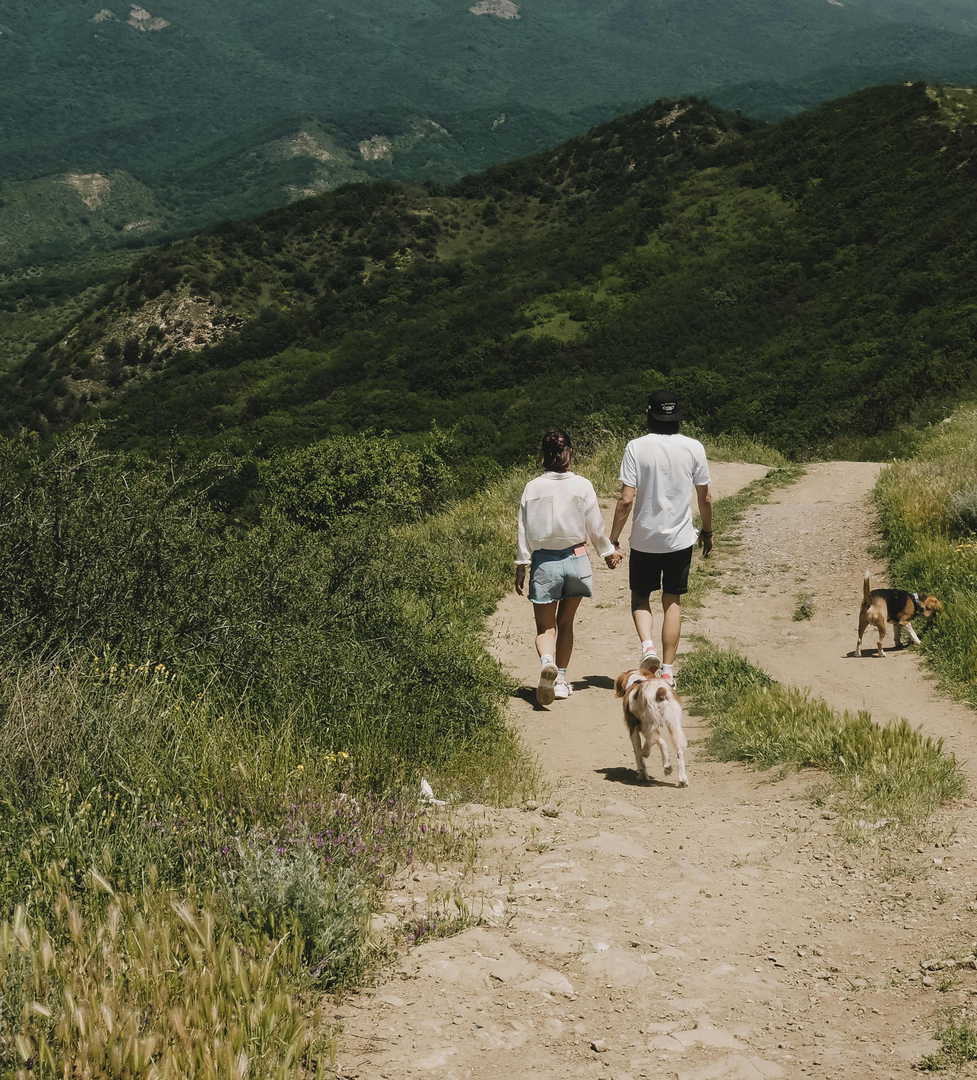 A couple holding hands and hiking with their dogs on a scenic mountain trail in Georgia.