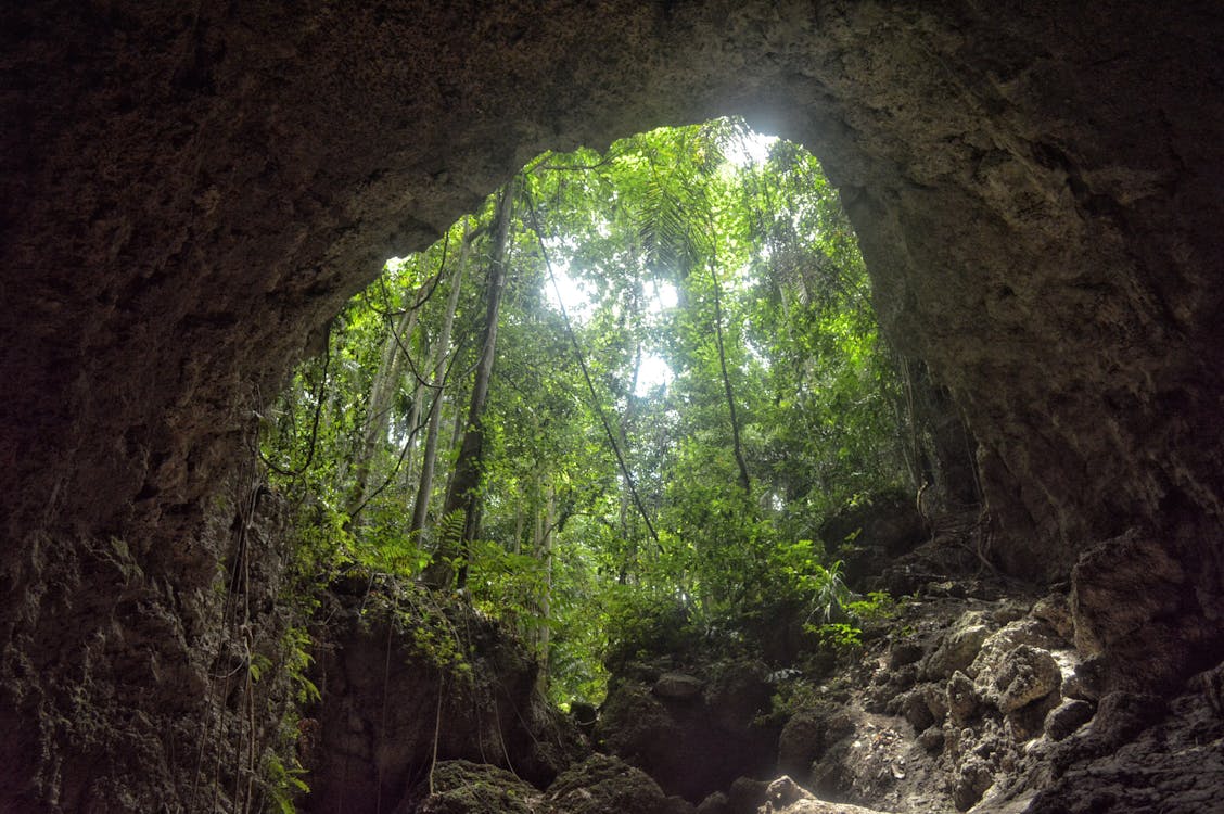 Foto stok gratis gua, hijau, hutan