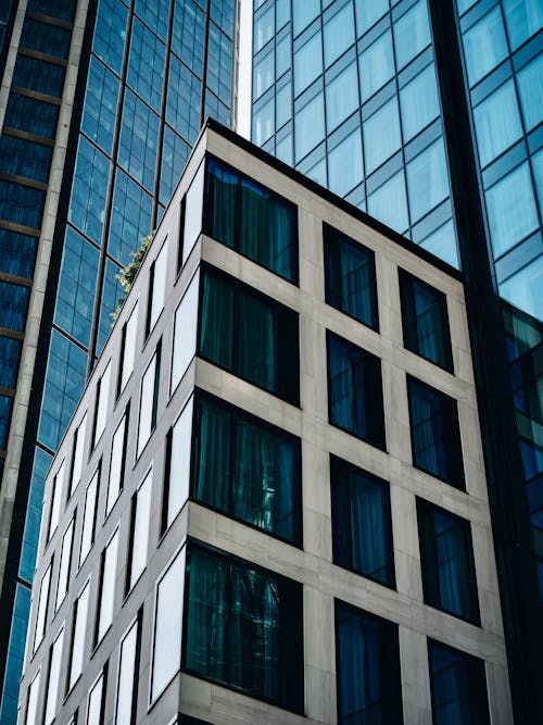 Windows Covered with Curtains