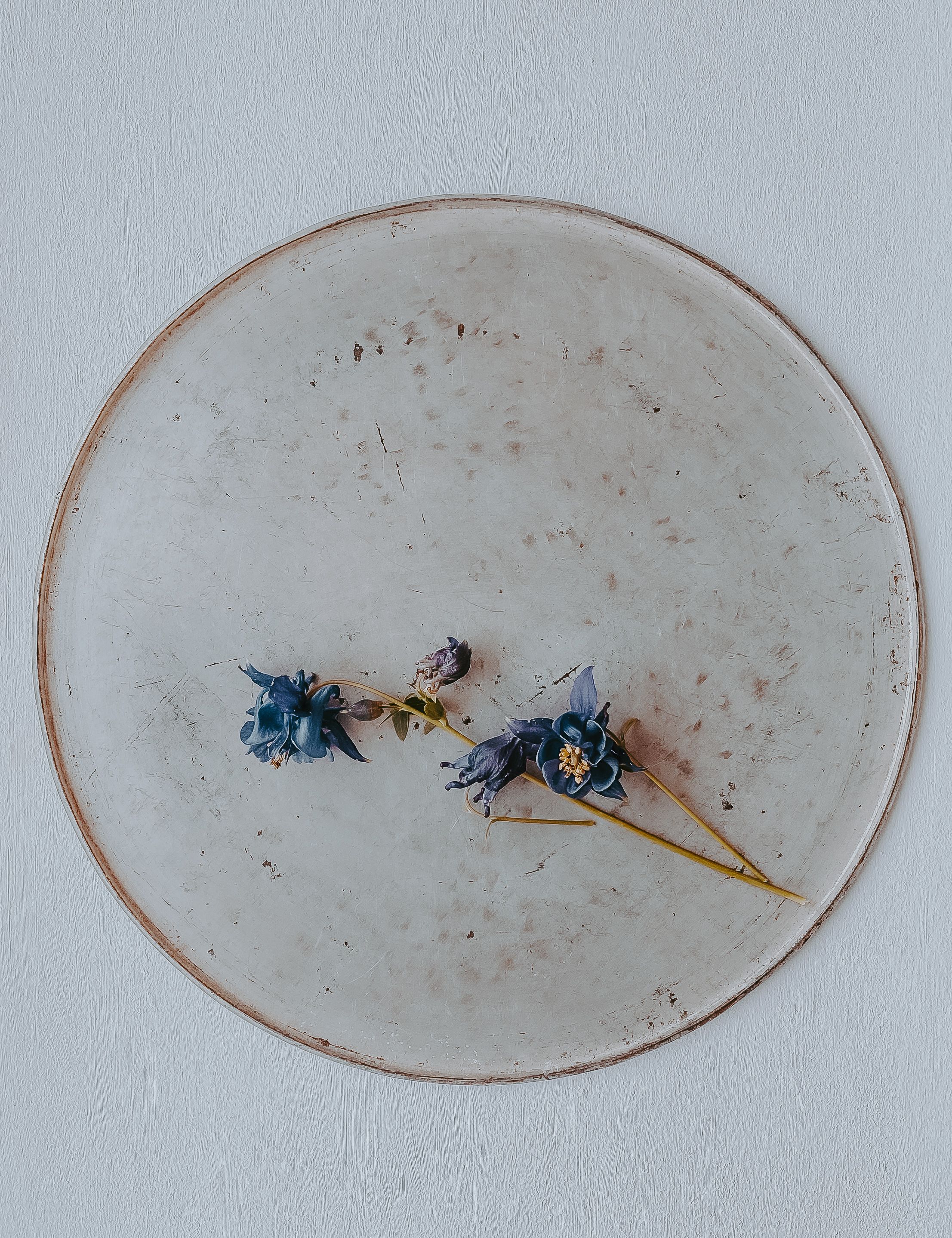 A Round Decoration with Dried Flowers · Free Stock Photo