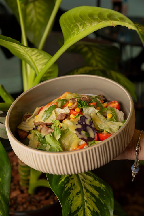 A bowl of salad with vegetables and a plant