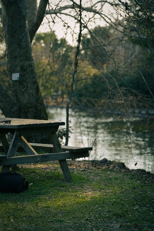 Free Peaceful park setting with picnic table, trees, and serene lake under soft natural light. Stock Photo