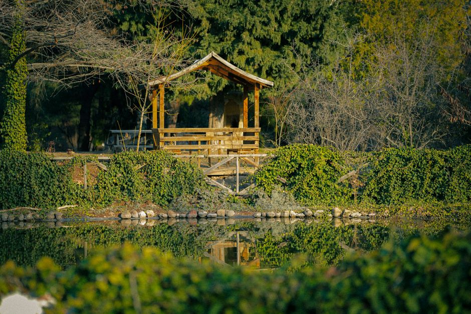 Peaceful wooden gazebo surrounded by lush greenery and reflected in a serene pond.