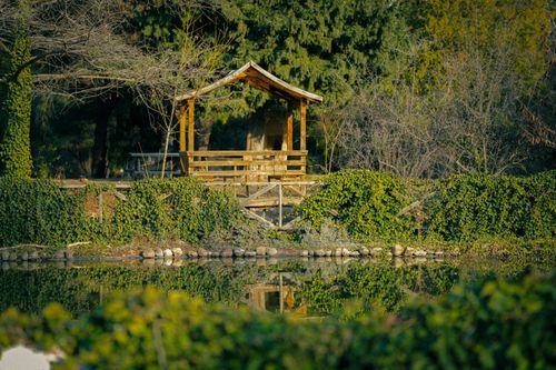 Free Peaceful wooden gazebo surrounded by lush greenery and reflected in a serene pond. Stock Photo