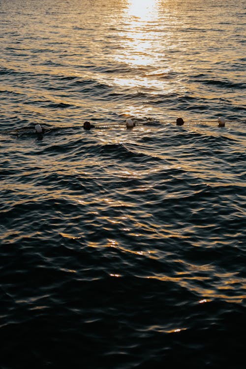 Darmowe zdjęcie z galerii z ciekły, morze, odbicie