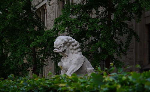 Sculpture of a Chinese Lion in front of a Royal Ontario Museum in Toronto 