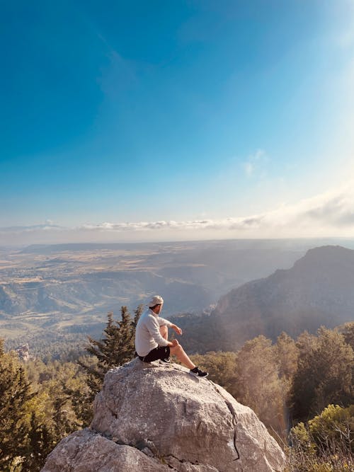 Foto stok gratis duduk, hiker, hutan