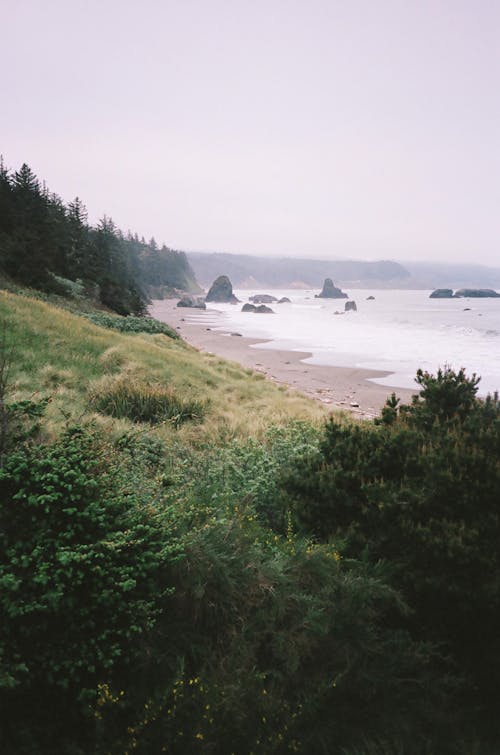 Oregon Coast Film
