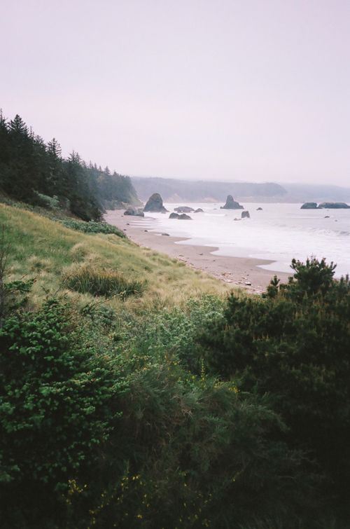 Free Capture the moody coastal landscape with fog and ocean in Brookings, Oregon. Stock Photo