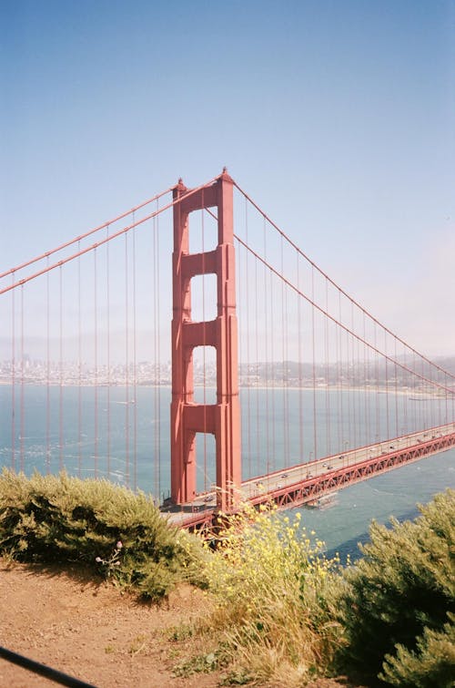 Golden Gate Film