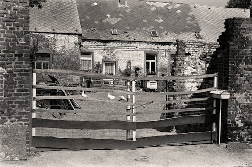Fotobanka s bezplatnými fotkami na tému brána, čierny a biely, dedinský