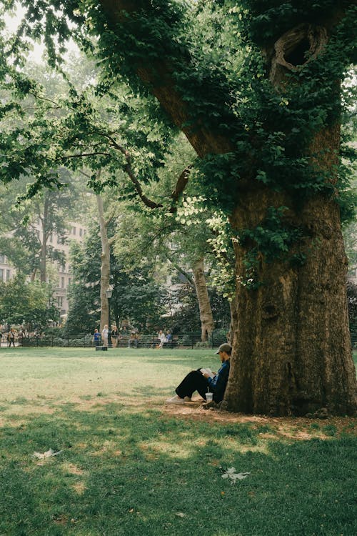 People in Park in Summer