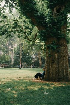 A peaceful scene of a person reading under a large tree in a sunny park.