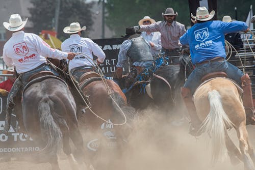 Gratis arkivbilde med cowboyer, hester, konkurranse