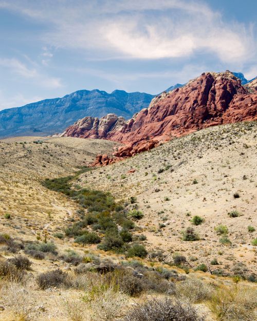 Free Scenic view of Red Rock Canyon's unique rock formations under a bright sky. Stock Photo