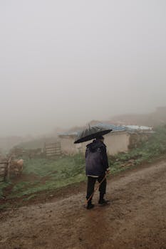 A man with an umbrella walks down a foggy country road in Artvin, Türkiye.