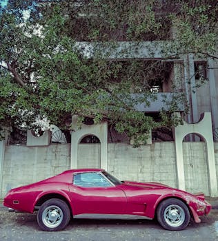 Classic Chevrolet Corvette parked against a city wall amidst greenery.