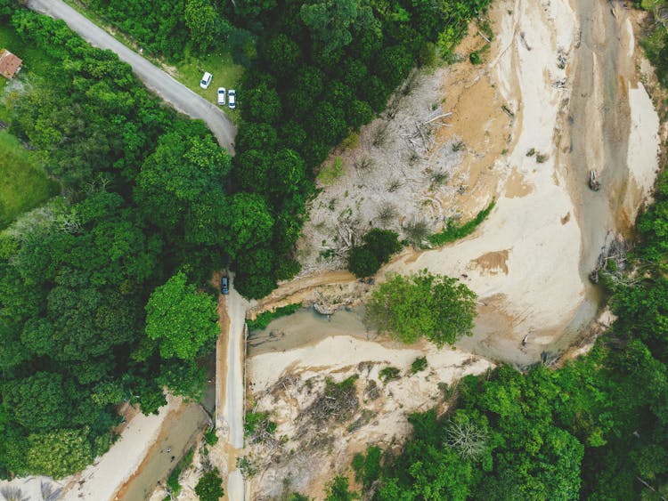 Sandbanks On River In Forest