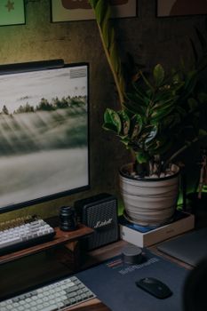 Stylish desk setup with monitor, keyboard, and potted plant in cozy home office.