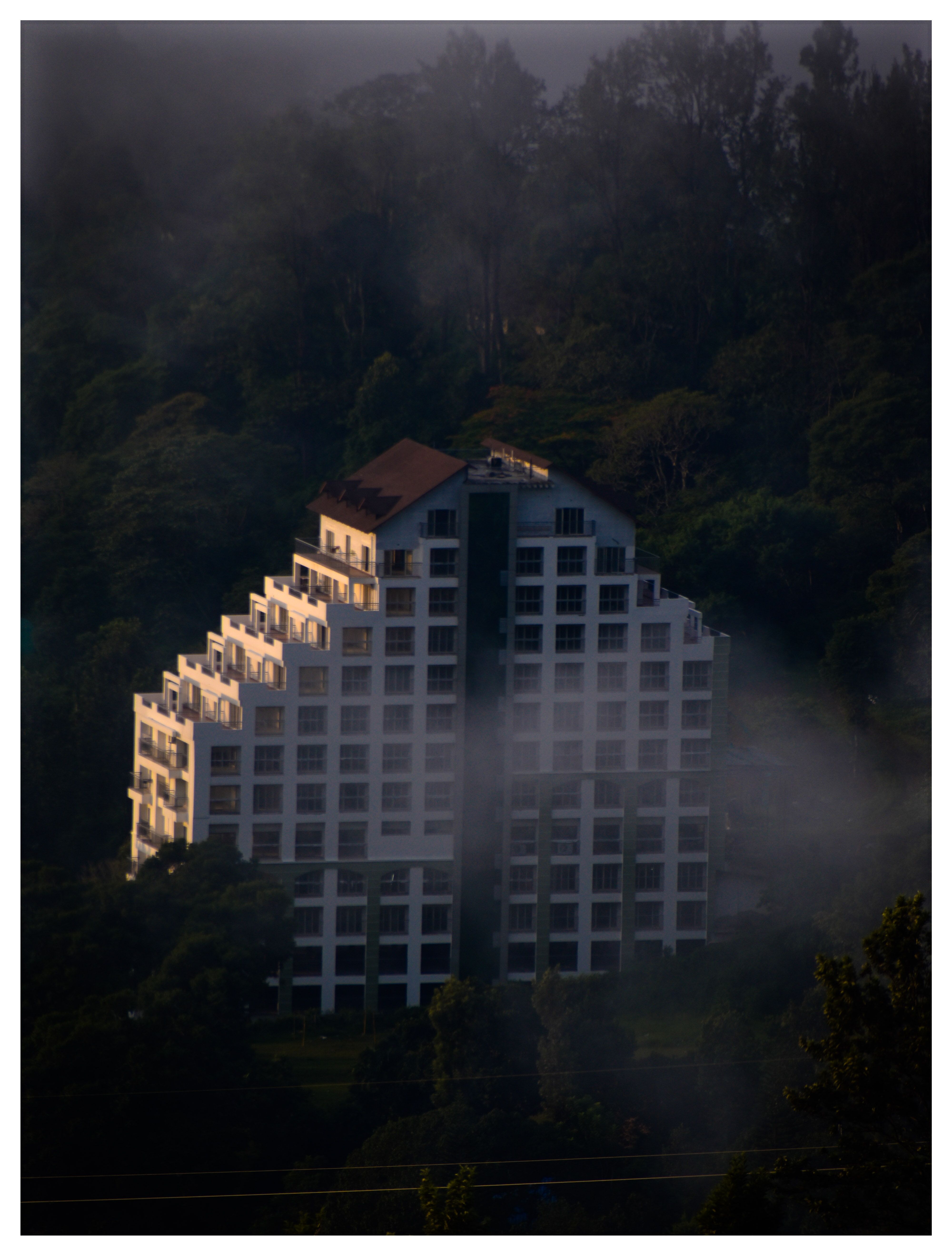 grátis Foto profissional grátis de neblina Foto profissional
