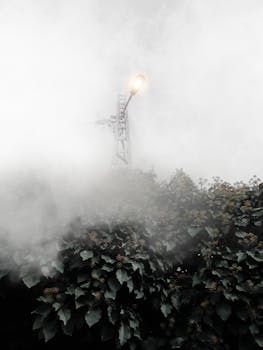 雾气弥漫的街景中，灯柱穿透了雾气和树叶