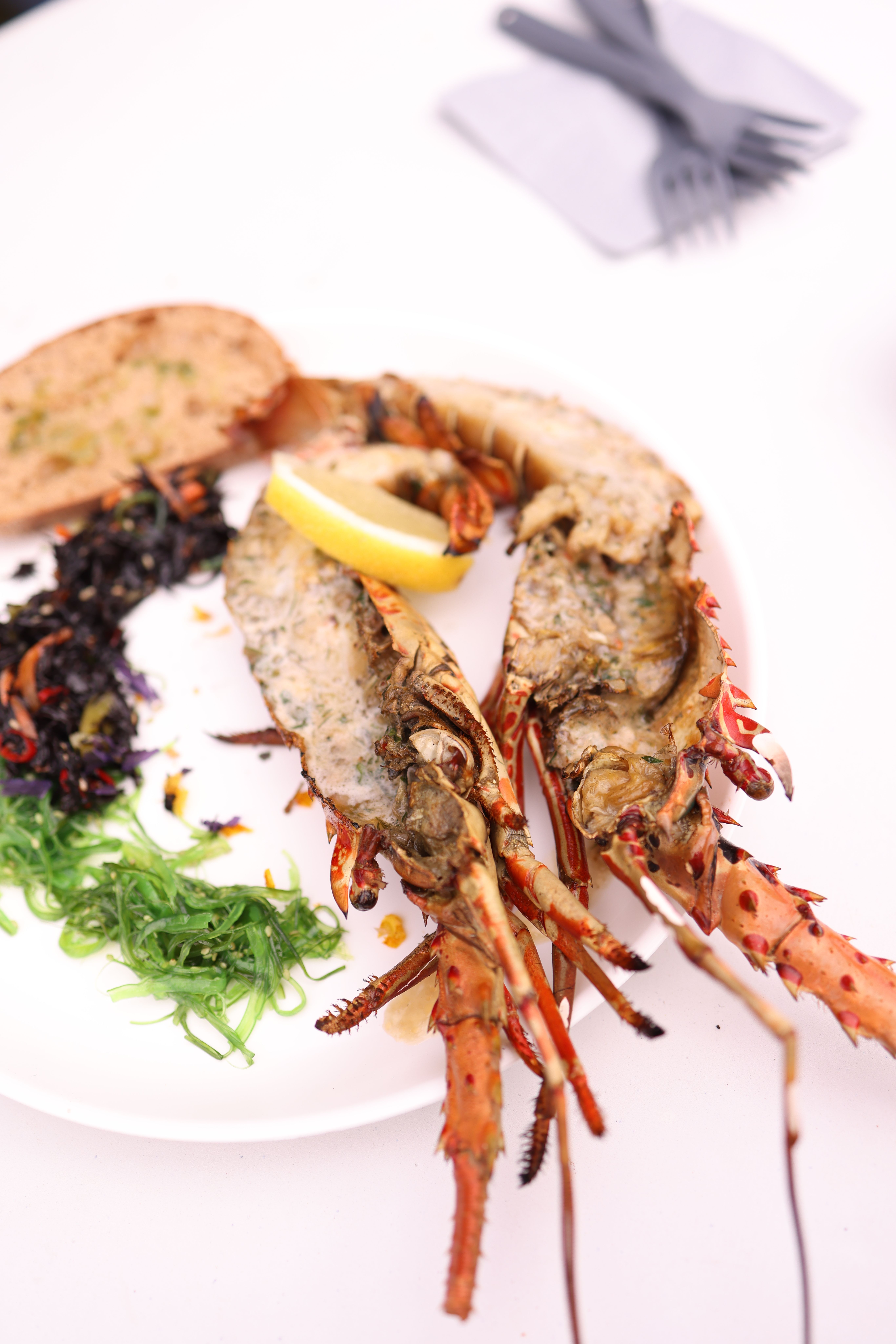 A delicious gourmet lobster meal served with lemon and greens on a white plate.