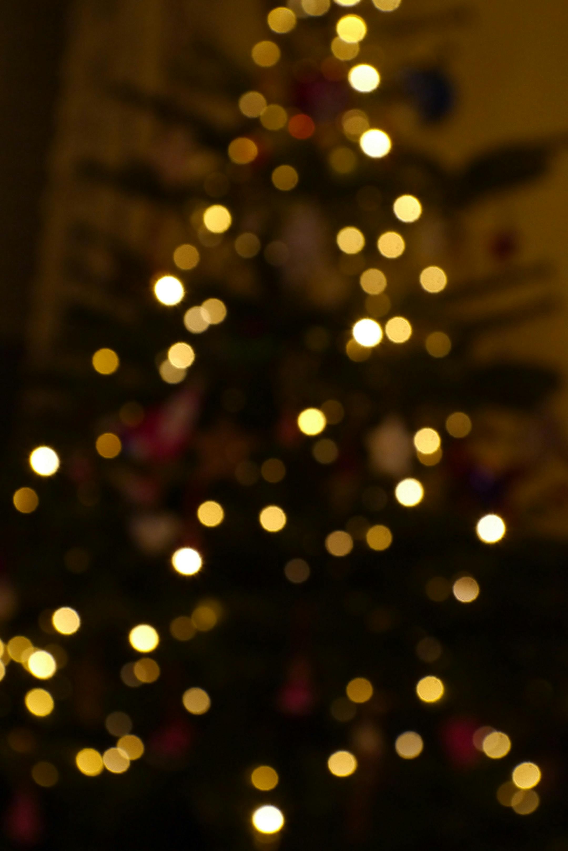 Free stock photo of albero di Natale, Árbol de Navidad, bokeh