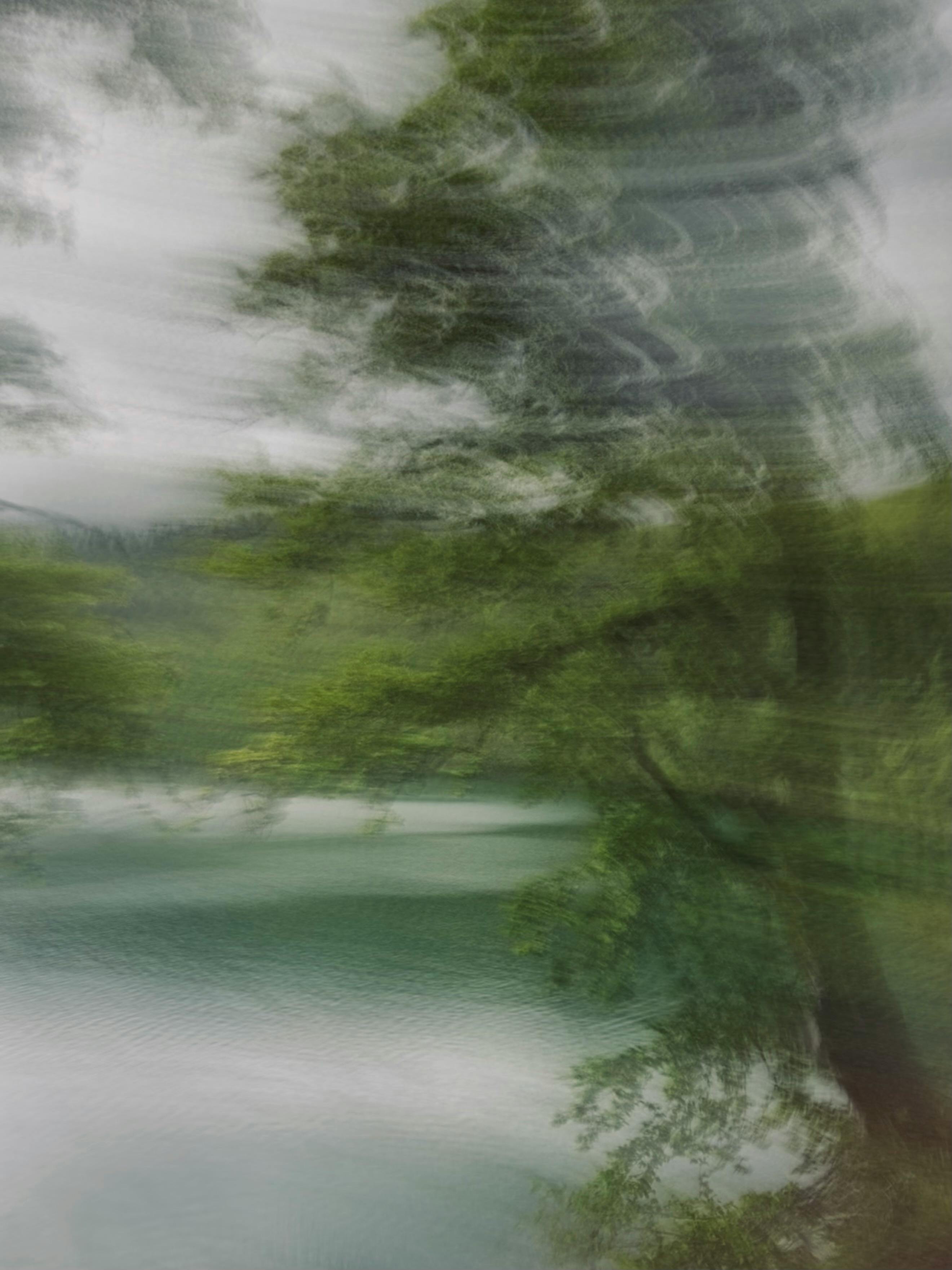 Artistic blur of trees with reflections on a serene lake, capturing natural tranquility.