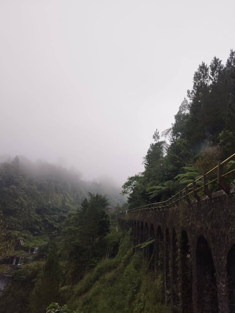 Mountains In Fog