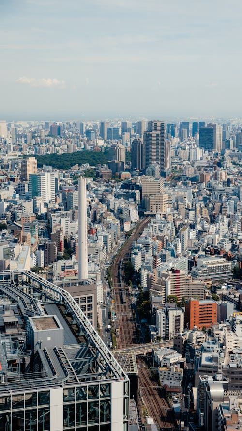 The View of Tokyo