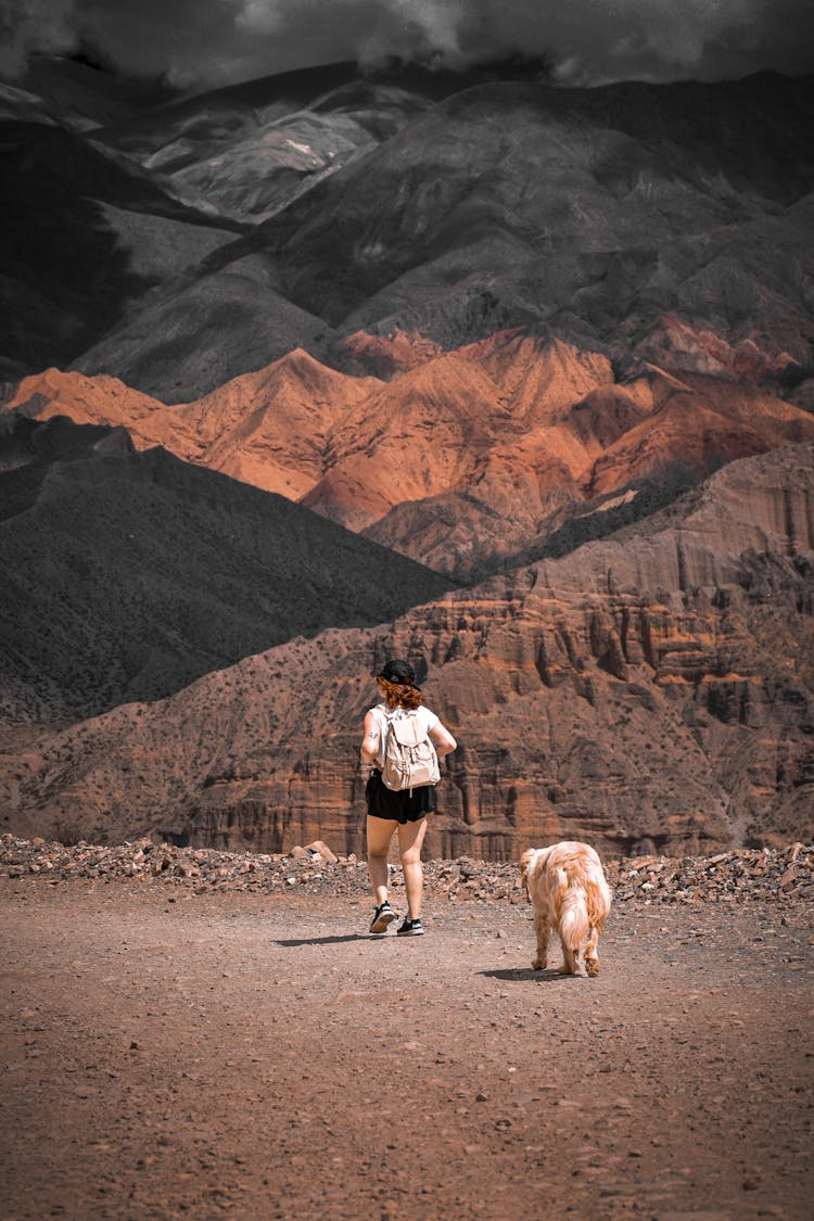 Back View Of Woman Hiking With Dog On Dirt Road In Mountains