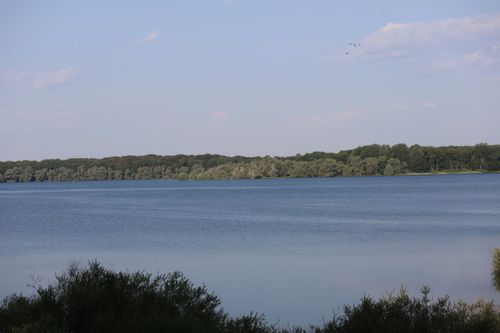 Free Quiet lake surrounded by a lush forest and blue sky on a calm day. Stock Photo