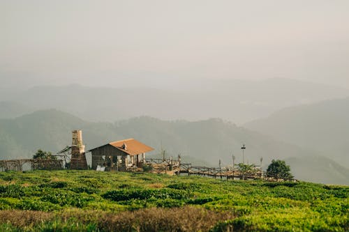 alan, çayır, dağlar içeren Ücretsiz stok fotoğraf
