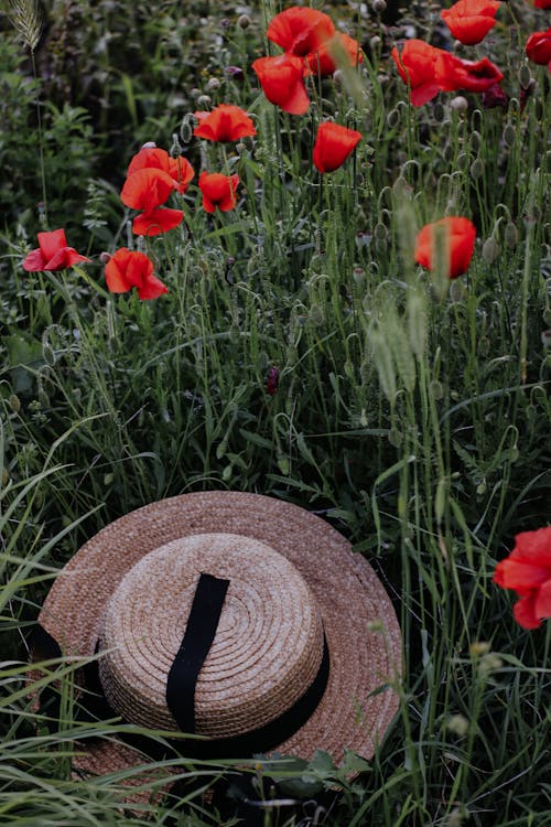 Straw Hat in Meadow with Poppies
