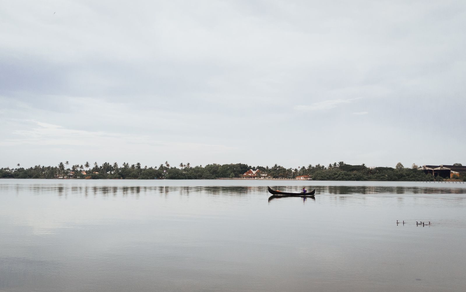 Houseboats moored on Punnamada Lake at Alappuzha