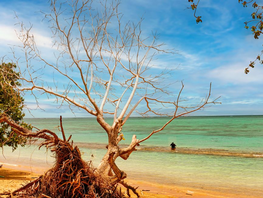 Foto de Namua Island