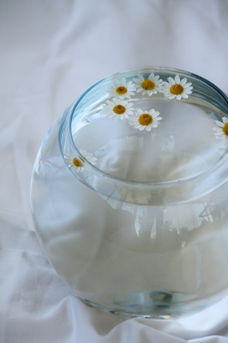 A Glass Bowl With Clear Water And Daisies