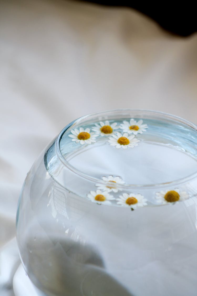 A Glass Bowl With Clear Water And Daisies