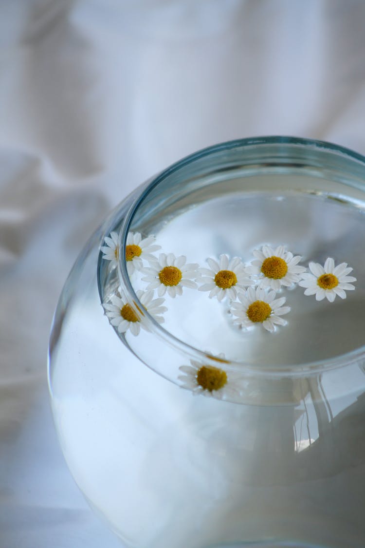 A Glass Bowl With Clear Water And Daisies