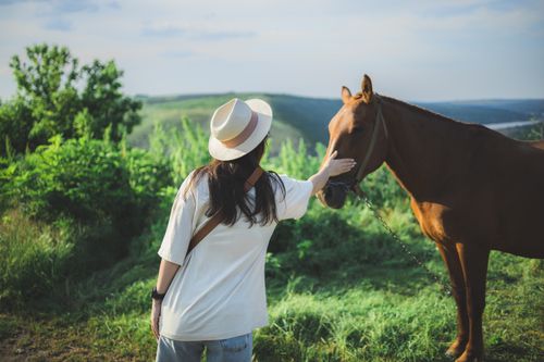 Free A woman in a sun hat gently strokes a brown horse in a lush green meadow. Stock Photo