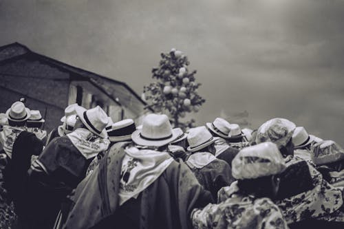 Fotos de stock gratuitas de andes, bailar, baile tradicional