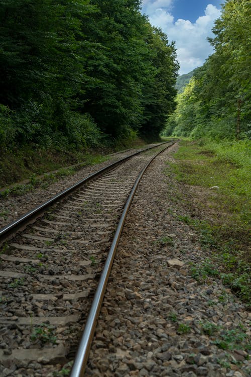 Railway Track in Forest